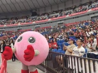 日本世界杯名单年龄，青春风暴与老将智慧的平衡艺术