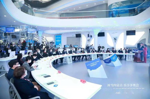 2026年冬奥会项目大盘点,激情与传统的完美融合 2026年冬奥会项目大盘点,激情与传统的完美融合
