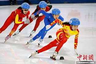 2026年冬奥会项目大盘点,激情与传统的完美融合 2026年冬奥会项目大盘点,激情与传统的完美融合
