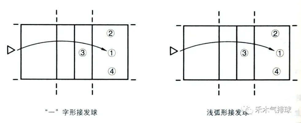 从零开始，排球发球初学者入门指南