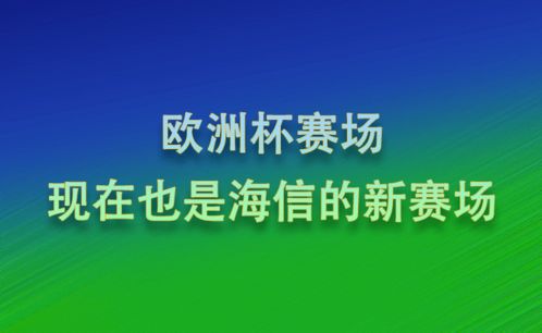 欧洲杯决赛，荣耀之夜，足球不眠