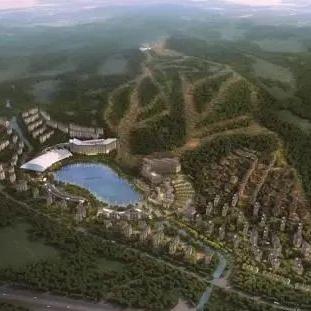 2026年奥运冠军排名,冰雪巅峰的荣耀与格局 2026年奥运冠军排名,冰雪巅峰的荣耀与格局