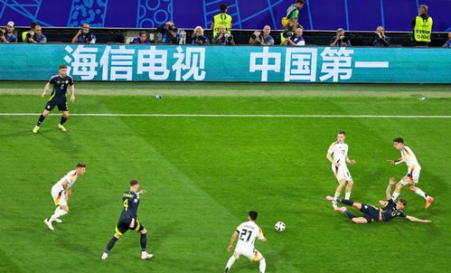 2026欧洲杯中国排名，一个伪命题背后的真实期待