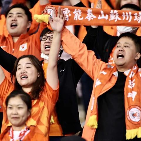 山东鲁能足球俱乐部股权变更，历史沿革、现实动因与未来展望