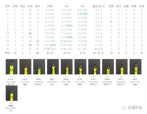 琛探篮球比分,指尖上的博弈,数字里的心跳 琛探篮球比分,指尖上的博弈,数字里的心跳