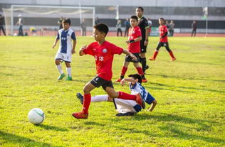 中日足球今天几点开始？一场跨越时区与期待的对决