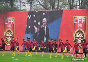 国足卡塔尔最终比赛,一场未尽的征途,一次沉重的反思 国足卡塔尔最终比赛,一场未尽的征途,一次沉重的反思