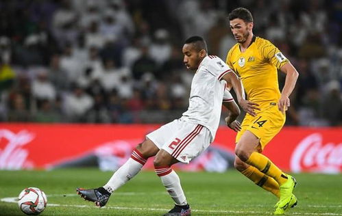 上届亚洲杯冠亚军是谁?回顾那场巅峰对决,揭秘亚洲足坛新格局 上届亚洲杯冠亚军是谁?回顾那场巅峰对决,揭秘亚洲足坛新格局